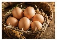Free-Range Eggs